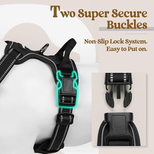 rabbitgoo Dog Harness, No Pull for Small Dogs with 2 Leash Clips, Pet Vest - Image 3