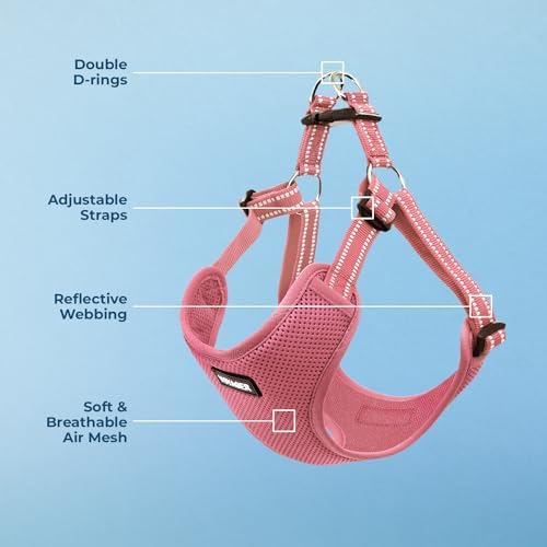 Voyager Step-in Flex Adjustable Dog Harness - Pink, X-Small - Image 3