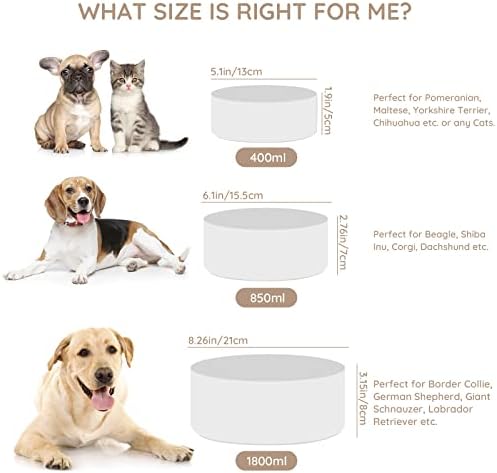 SPUNKYJUNKY 13.5OZ Ceramic Dog and Cat Bowl, Modern Cute Weighted Food Water Bowl for Replacement White (1 Pack) - Image 5