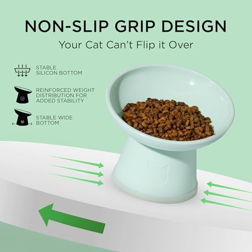 Necoichi BPA-Free Elevated Cat Food Bowls, 15° Tilted, 2-Pack (Smoky Mint) - Image 6