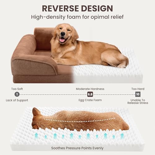 Medium Orthopedic Dog Bed for Small Dog, Removable Washable, Brown - Image 4