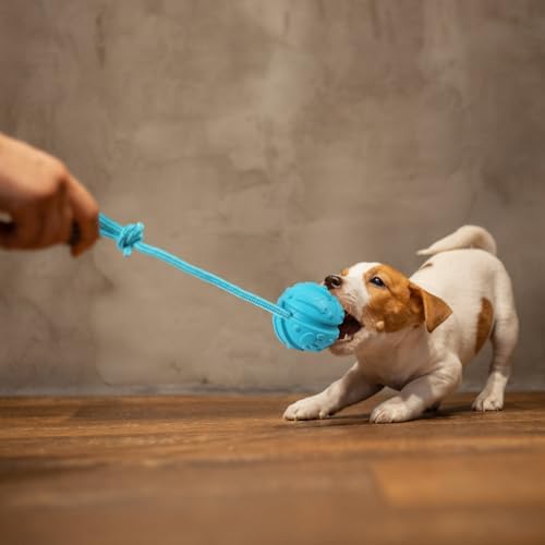 Dog Training Ball on Rope, 2Pcs Dog Rope Toys for Chew Training, Pull Throw and Fetch - Image 6