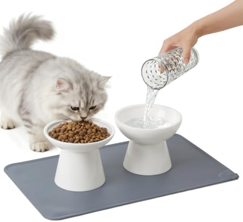 CEEFU 2 Elevated Ceramic Cat Bowls Upgraded with Food Mat for Food & Water by CEEFU