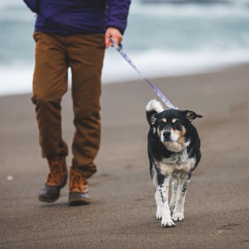 Ruffwear, Front Range Dog Leash, 5 ft Lead, Deep Jungle - Image 4