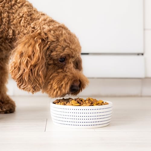 Pearhead Ceramic Dog Bowl, Small/Medium 2.25 Cups/ 18 oz, Blue Dots - Image 2