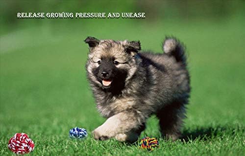 Pet Chew Toy, Knots Weave Cotton Rope, Biting Small Ball for Dogs & Cats, 3 in One Pack - Image 5