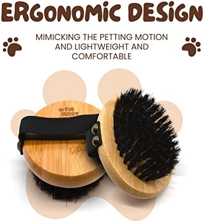 The Buddy System - Pet Close Brush, Oval Palm Brush with Boar Bristles - Image 2