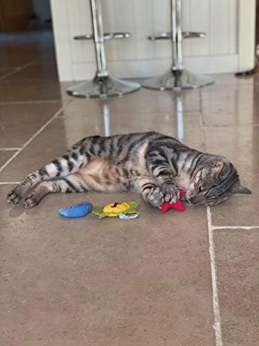 YEOWWW Catnip Cat Toy for Indoor and Outdoor Cats -Premium Quality Strong Catnip Toys for Cats (1x Crinkle Catnip Toy Sun 1 x Moon 1x Star) - Image 4