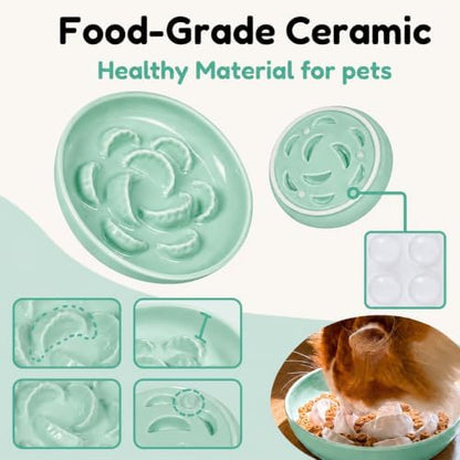 Ceramic Cat Slow Feeder Bowl - 6.2'' Whisker Friendly Cat Plate for Dry and Wet Food - Heavy Puzzle Feeding Bowl for Slow Eating - Helps Reduce Vomiting - Microwave & Dishwasher Safe -Non Slip - Green - Image 4