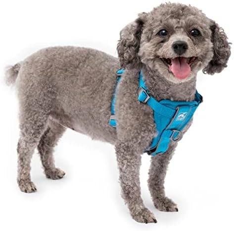 Kurgo Tru-Fit Smart Harness, Blue, Extra Small by Kurgo