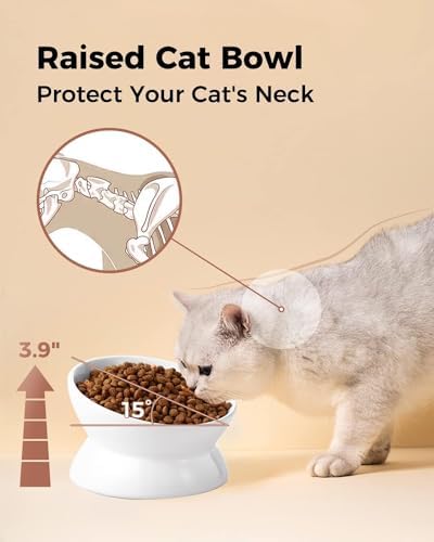 LoeJan Elevated Cat Food Bowl, 5 Oz Ceramic Raised and Tilted Water Bowl, Anti Vomiting and Protect Pets' Spines Dishes for Small Dog, Fat Faced Cat, Kitten (White, 2 Pack) - Image 6