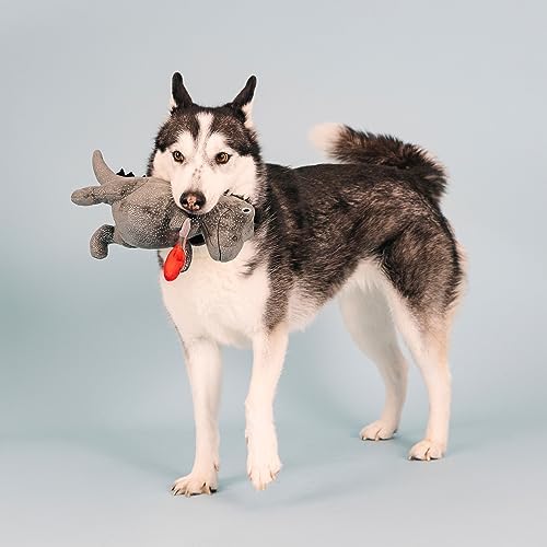 Fringe Studio Plush Dog Toy, Rocker Rex, Pet Shop Collection (314214) - Image 4