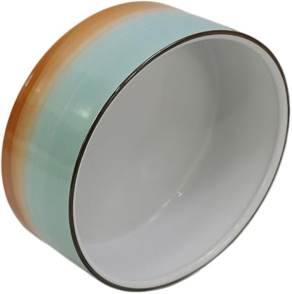 8'' Ceramic Dog Bowl - Green and Orange Classic Dogs Food & Water Bowl for Medium and Large Pet Breeds, Heavy-Duty Non-Slip Dog Dish, Porcelain Pet Bowl, Dishwasher & Microwave Safe, 7 Cups