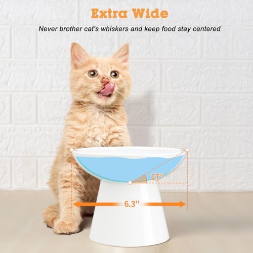 LoeJan Ceramic Raised Cat Bowls, 2 Pack Elevated Cat Food & Water Bowls Set - Image 5