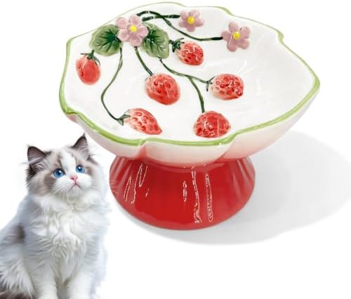 Ceramic Strawberry Raised Cat Bowl – Elevated Cat Food Bowl for Anti Vomit, Spine Protection & Whisker Friendly, Cute Tilted Bowl for Indoor Cats, Flat-Faced Cats (Red) by Unknown