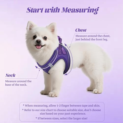 No Pull Dog Puppy Harness and Leash Set Reflective Mesh Vest Small - Image 2