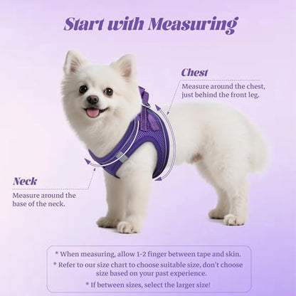 No Pull Dog Puppy Harness and Leash Set Reflective Mesh Vest Small - Image 2