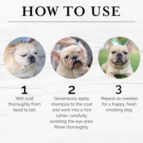 6-in-1 Moisturizing Dog Shampoo - Image 5
