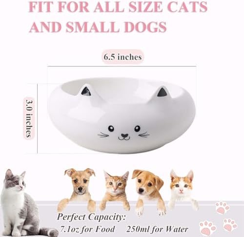Cat Bowls, Cat Food Bowl with Ears, Ceramic Cute Kitten Water Bowl 7.1oz, Slanted Kitten Feeding Dish 6.5 inch, Whisker Fatigue Friendly, Adorable and Multi-Use Gift for Girls - Image 2