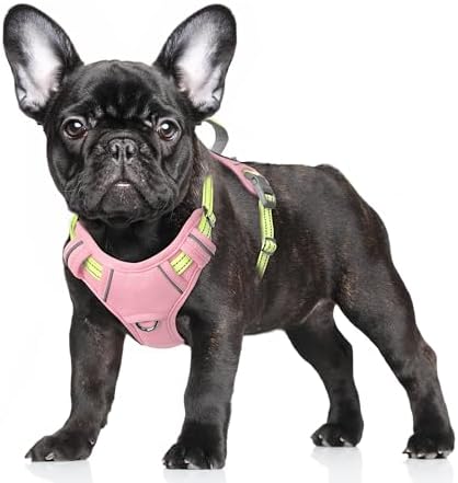 BARKBAY Dog Harness for Small Sized Dog No Pull Dog Vest ID Tag Pocket by BARKBAY