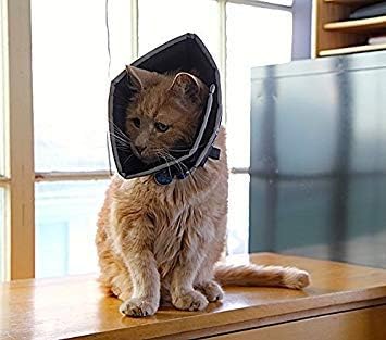 All Four Paws Comfy Cone Pet Cone for Dogs, Cats, X-Small, Black - Comfortable Soft Dog Cone Collar Alternative for After Surgery, Wound Care, Spay, Neuter - Dog and Cat Recovery Elizabethan-Collar - Image 4