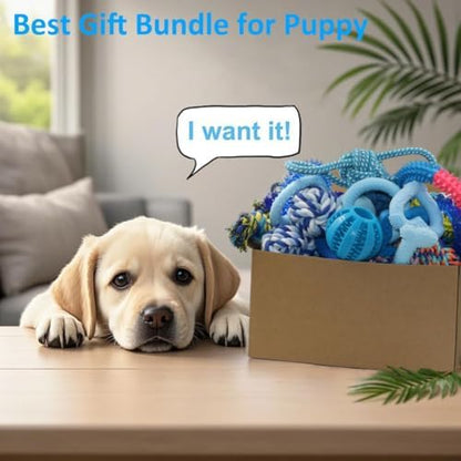 Beiker 20 Pack Puppy Chew Toys, Dog Teething Toys for Puppies Small Dogs - Image 6