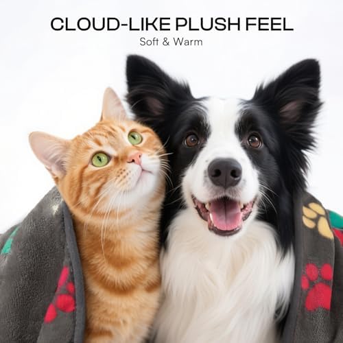 Luciphia 1 Pack 6 Dog Blankets Cat Soft Fluffy Fleece Pet Blanket Warm Cute Print Design Puppy Kitten Doggy Bone Medium(30"x20") - Image 2