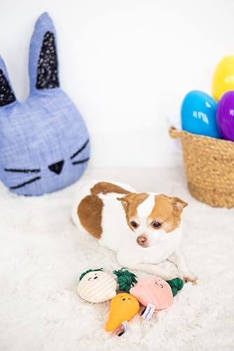 Pearhead Spring Garden Veggies Dog Toys, Plush Squeaky Rope Dog Toys - Image 2