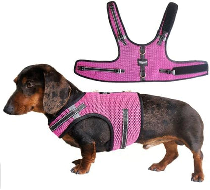 Mini Dachshund Harness – No Armpit Rub, Escape Proof, Reflective, No Pull Vest-Style Dachshunds Harness,Breathable Mesh Dog Harness (Rose Red, M: Chest 42-52cm (16.5"-20.5")) by Unknown