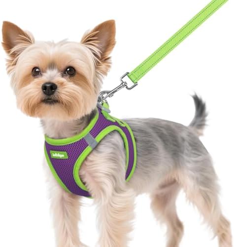 rabbitgoo Dog Harness Small Sized and Leash Set, Step in Soft Vest by rabbitgoo
