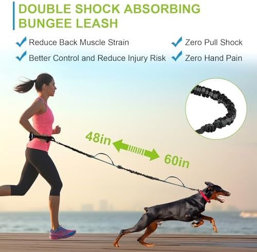 Hands Free Dog Leas, Double Waist Leash for Two Dog Walking (Blue) - Image 5