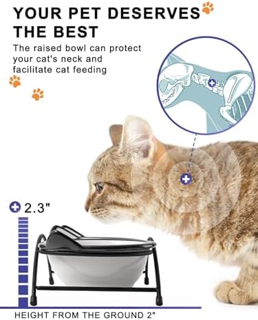 Y YHY Cat Food Bowls, 12 oz Raised Cat Bowls for Food and Water,Ceramic Elevated Pet Dishes Bowls with Stand, Cats and Small Dogs, Dishwasher Safe - Image 4