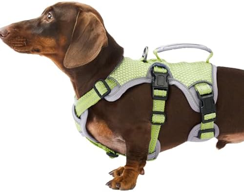 Huntboo Escape Proof Dog Harness, Dachshund Harness, Reflective Dog Harness with Handle, Durable,Adjustable Vest for Small Medium Large Dogs Walking, Training, and Running Gear (Green,S) by Huntboo