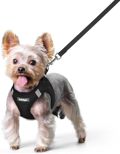 rabbitgoo Dog Harness Small Sized and Leash Set, Step-in Puppy Pet Vest by rabbitgoo