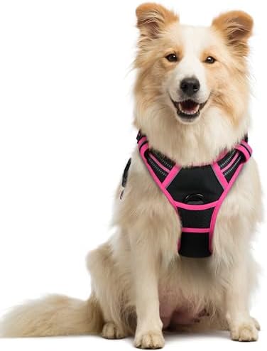 rabbitgoo Dog Harness, No Pull Medium Sized with 2 Leash Clips, Pet Vest by rabbitgoo