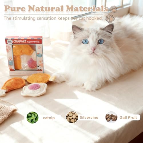 3-Pack Catnip Chew Toys, Natural Loofah Cat Scratch & Teething Toys for Bored Indoor Cats, Interactive Food Shape Treat Toy for Dental Health, Cat Toys with Catnip for Kitty Toys - Image 5
