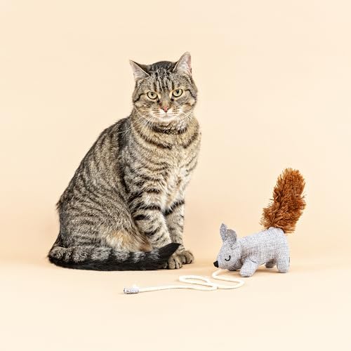 Fringe Studio ONE TUFF NUT Teaser Cat Toy, PetShop Collection (717001) - Image 3