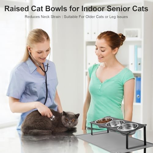 Elevated Cat Bowls with Food Mat, 10°Tilted Non-Slip Raised Cat Food Water Bowls Set, 3 Thick Stainless Steel Pets Dishes with Cute Metal Feeding Stand for Indoor Kitten Puppy, Anti-Vomiting - Image 6
