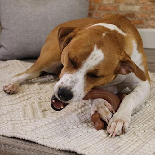 Nylabone Strong Chew Gourmet Style Dog Chew Toy Bundle, Large, 3 Count - Image 5