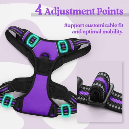 rabbitgoo Dog Harness, No Pull for Large Dogs with 2 Leash Clips, Pet Vest - Image 4