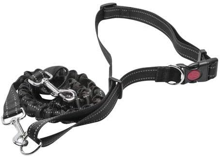 Hands Free Shock Absorbing Leash
