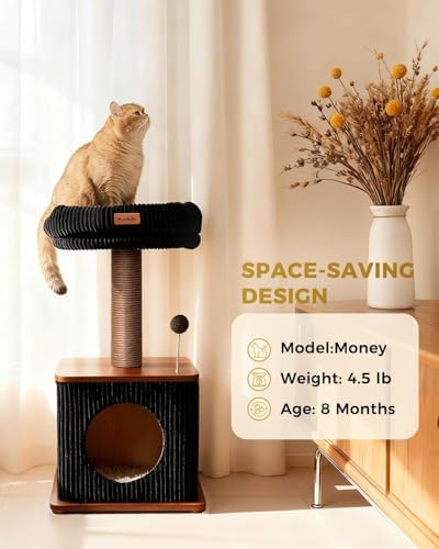 Small Cat Tree for Indoor Kittens, 30" Compact Modern Cat Tower - Image 5