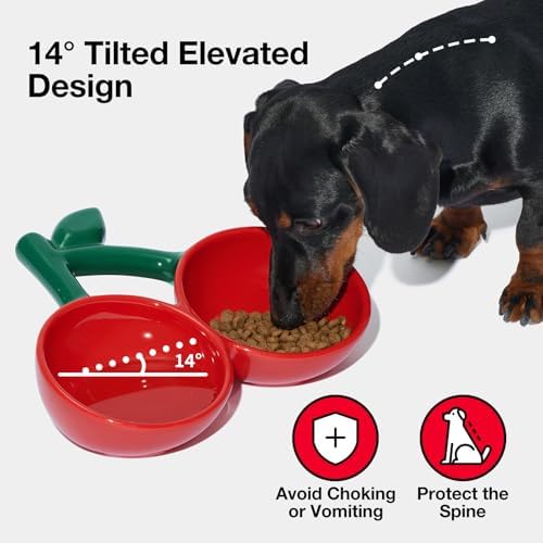 VETRESKA Ceramic Pet Bowl, Tilted Design Pet Feeder for Food and Water - Image 2