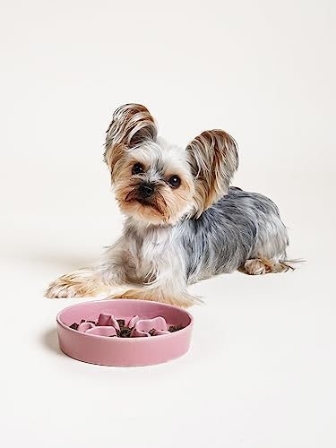 LE TAUCI PET Ceramic Slow Feeder Dog Bowls Small Breed, 0.5 Cups Dog Food Dish for Fast Eaters, Puzzle Bowl for Small Dogs and Cats, 5.5 Inch-Pink - Image 6
