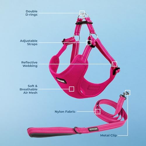 Best Pet Supplies Voyager Adjustable Step-in Flex Breathable Mesh Dog Harness for Small Medium Large Dogs Leash Set (Fuchsia), M - Image 4