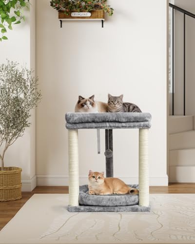 SYANDLVY Small Cat Tree with 2-Tier Perch Platforms, Scratching Post Tower - Image 2
