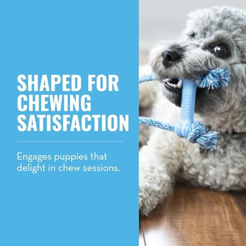 KONG Puppy Goodie Bone with Rope, Natural Rubber, for XS Puppies, Blue - Image 2