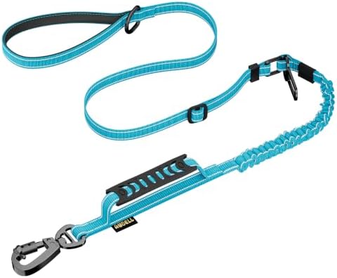 AUBELL Tactical Dog Leash Heavy Duty,4-6ft No Pull Bungee Leash,Blue by AUBELL