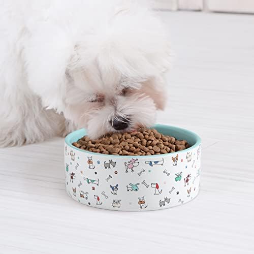FE FUN ELEMENTS Ceramic Dog Bowls for Small Dogs, 16 Fl Oz Heavy Food and Water Bowl With Adorable Patterns (Small, Blue) - Image 5