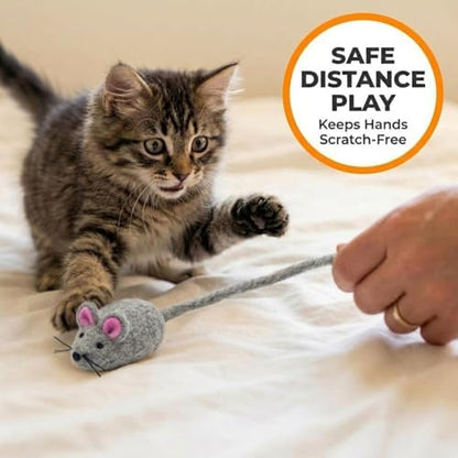 Glaciart One Felt Mouse Cat Toy – Soft Fuzzy Enrichment 100% Natural Wool - Interactive Catnip Play Cat Toy Set - Safe for Pets, Non-AZO Colored Dyes - 42” Long - Image 3